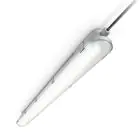 Philips LED Feuchtraumleuchte CoreLine WT120C Gen2 15W 1900lm - 840 Kaltweiß | 60cm